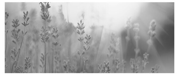 Kép - Levendula (120x50 cm)