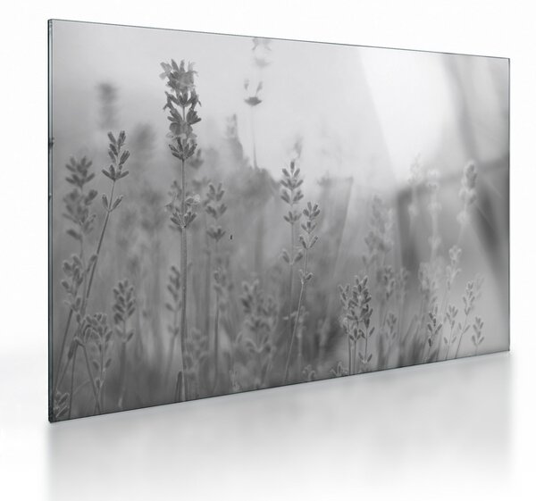 Üveg kép - Levendula (70x50 cm)
