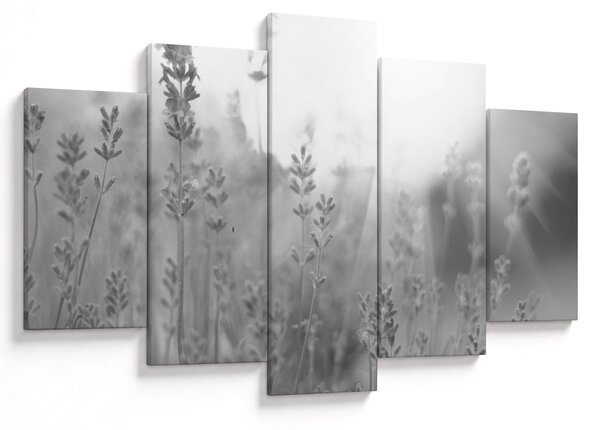 Kép - Levendula (150x105 cm)