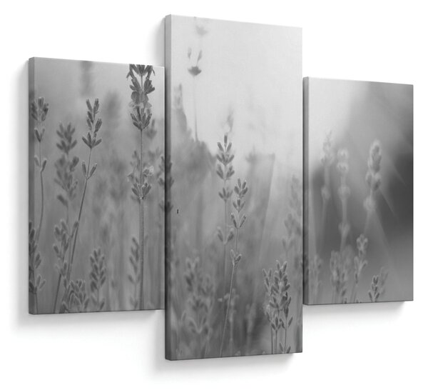 Kép - Levendula (90x60 cm)