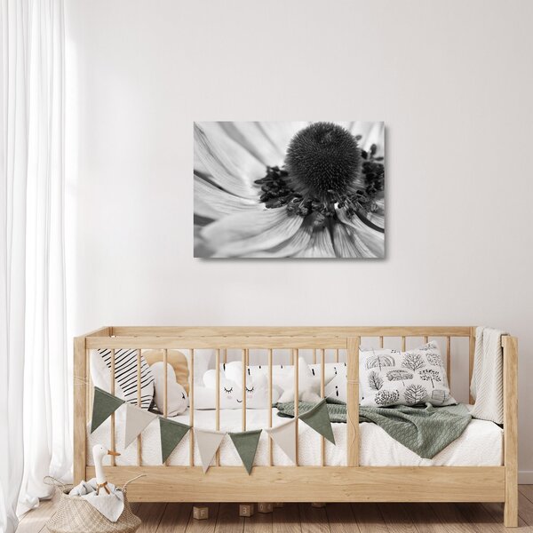 Üveg kép - Virág fekete-fehérben (70x50 cm)