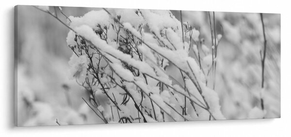 Kép - Havas ágak (120x50 cm)