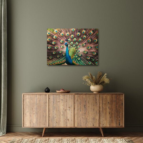 Kép - Páva (70x50 cm)