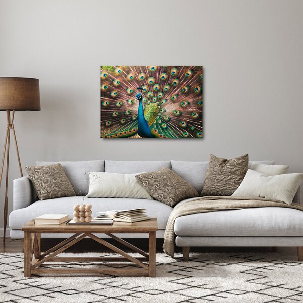 Kép - Páva (70x50 cm)