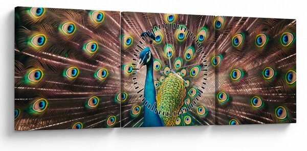 Kép - Páva (órával) (90x30 cm)