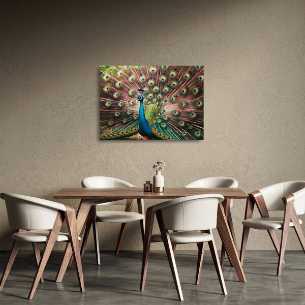Üveg kép - Páva (70x50 cm)