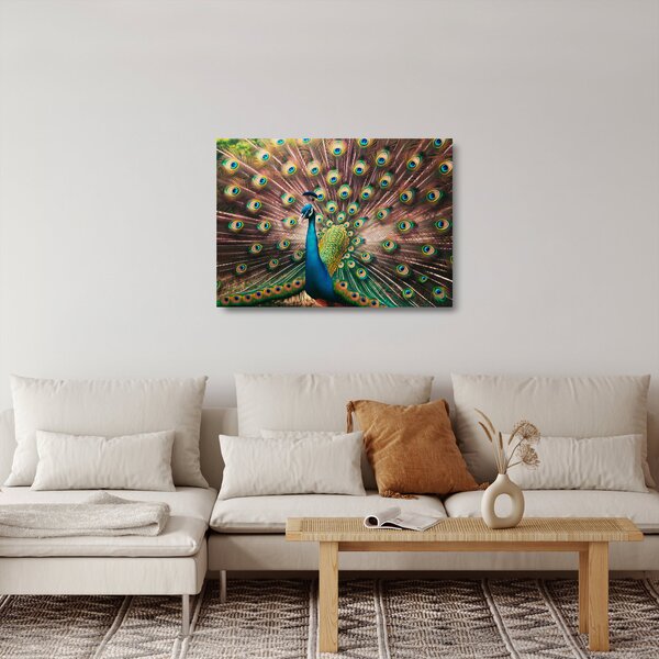 Üveg kép - Páva (70x50 cm)