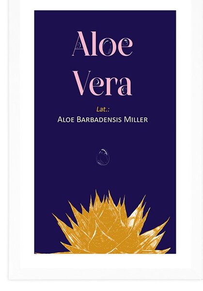 Poszter paszportuval Aloe Vera felirattal