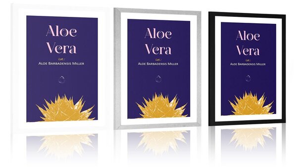Poszter paszportuval Aloe Vera felirattal