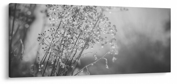 Kép - Mező az eső után (120x50 cm)