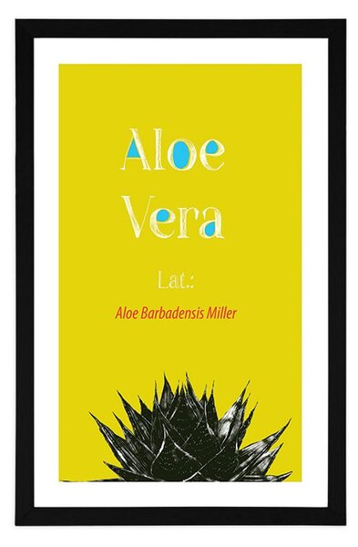 Poszter paszportuval csodás Aloe Vera