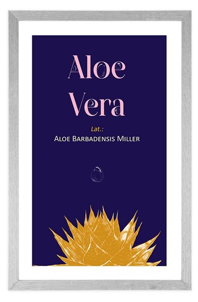 Poszter paszportuval Aloe Vera felirattal