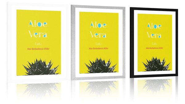 Poszter paszportuval csodás Aloe Vera