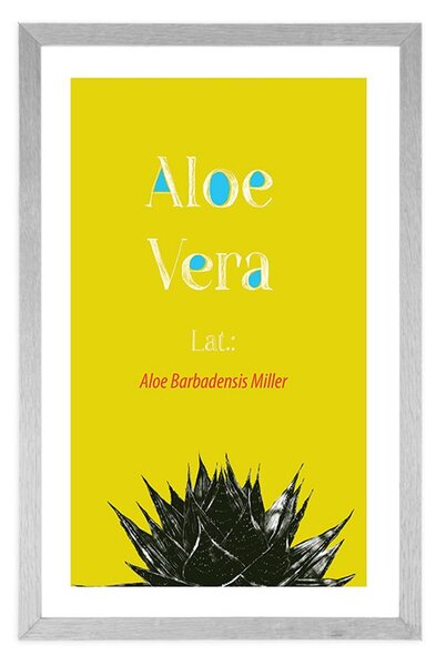 Poszter paszportuval csodás Aloe Vera