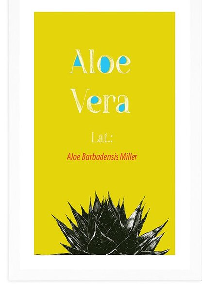 Poszter paszportuval csodás Aloe Vera