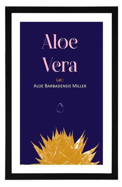 Poszter paszportuval Aloe Vera felirattal