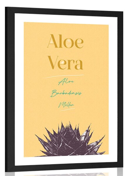 Poszter paszportuval stílusos felirattal Aloe Vera