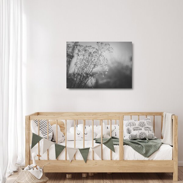 Üveg kép - Mező az eső után (70x50 cm)