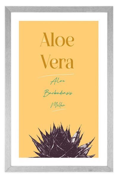Poszter paszportuval stílusos felirattal Aloe Vera