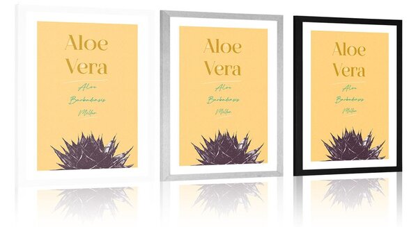 Poszter paszportuval stílusos felirattal Aloe Vera