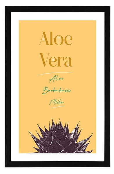 Poszter paszportuval stílusos felirattal Aloe Vera