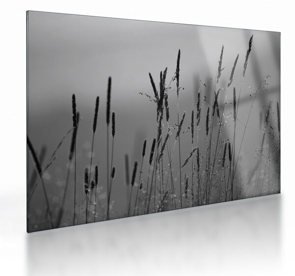 Üveg kép - Fűszálak (70x50 cm)