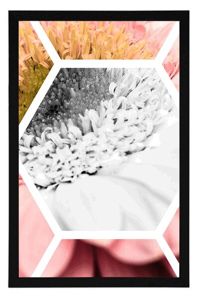 Poszter gerbera hatszögben