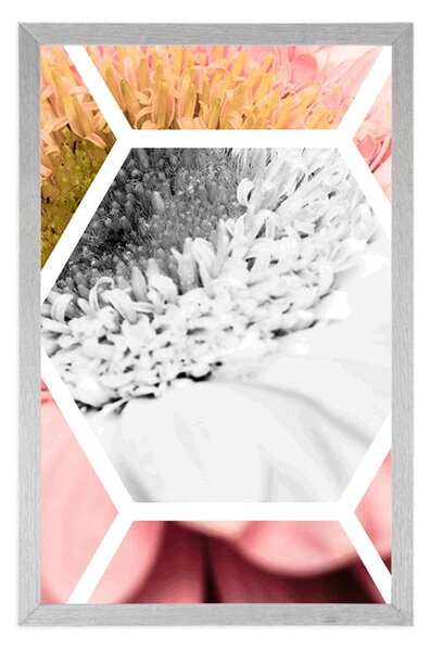 Poszter gerbera hatszögben