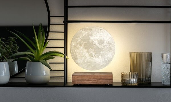 Barna konnektorhoz csatlakoztatható fénydekoráció ø 12 cm Moon – Gingko