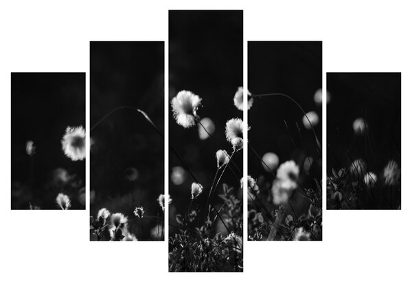 Kép - Gyapotfűvel borított rét N⁰1 (150x105 cm)