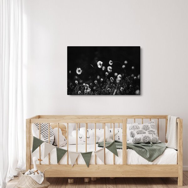 Kép - Gyapotfűvel borított rét N⁰1 (90x60 cm)
