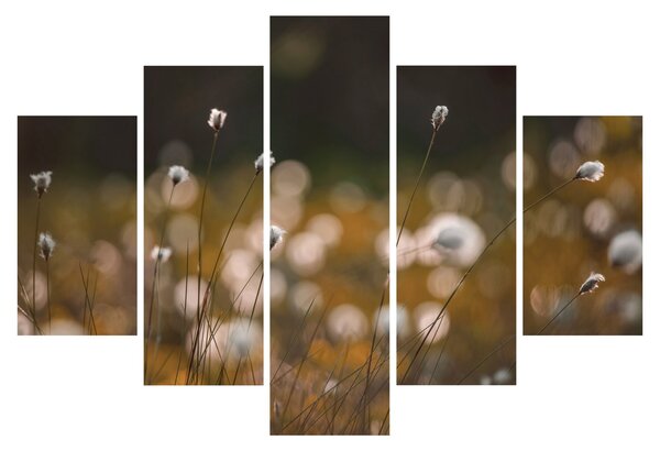 Kép - Gyapotfűvel borított rét N⁰2 (150x105 cm)