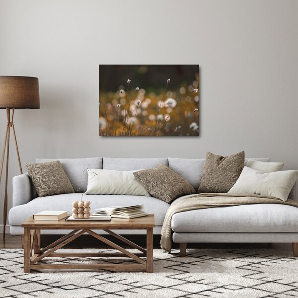 Kép - Gyapotfűvel borított rét N⁰2 (70x50 cm)