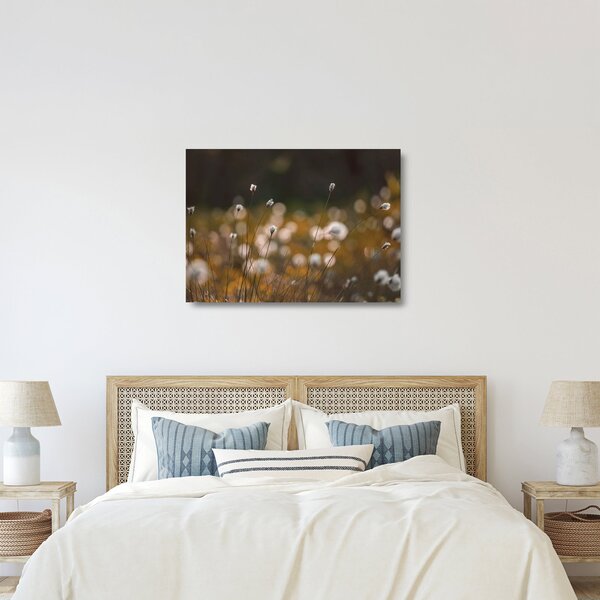 Üveg kép - Gyapotfűvel borított rét N⁰2 (70x50 cm)