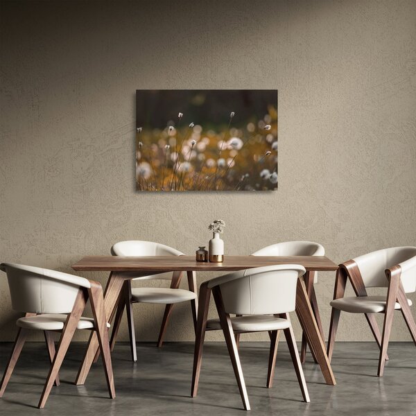Üveg kép - Gyapotfűvel borított rét N⁰2 (70x50 cm)