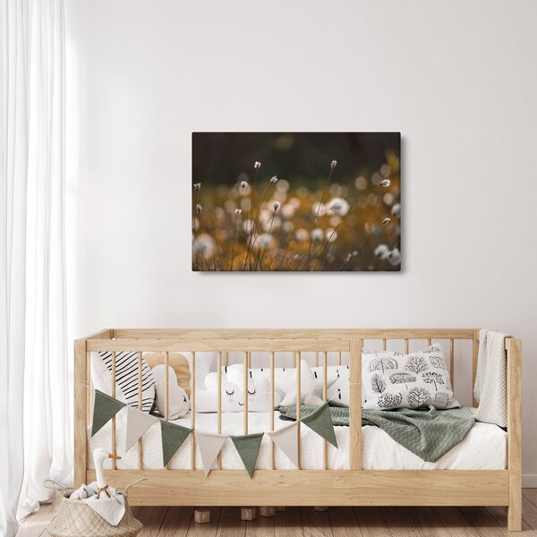 Kép - Gyapotfűvel borított rét N⁰2 (90x60 cm)