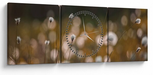 Kép - Gyapotfűvel borított rét N⁰2 (órával) (90x30 cm)