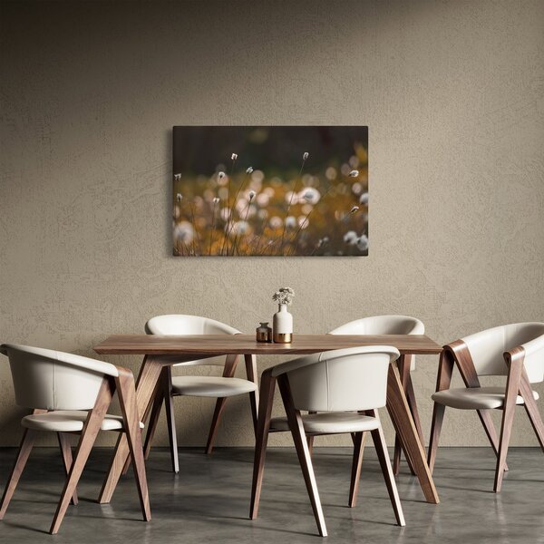 Kép - Gyapotfűvel borított rét N⁰2 (90x60 cm)