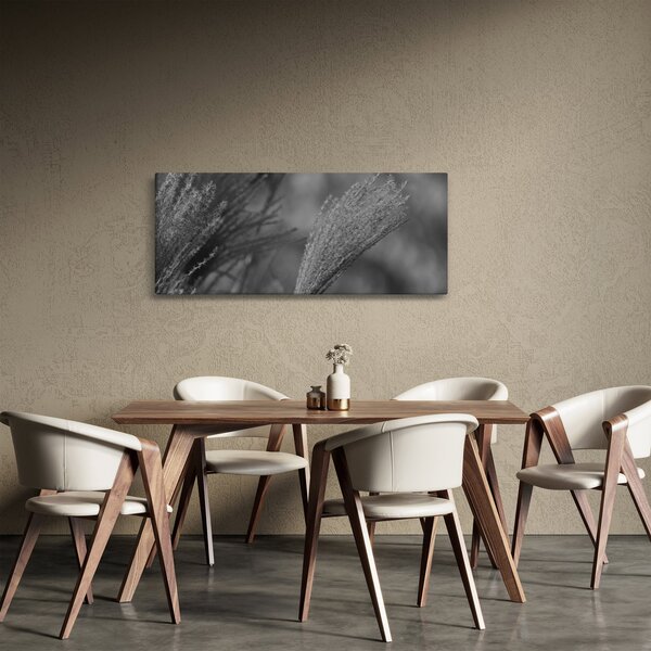 Kép - Szárított pampafű (120x50 cm)