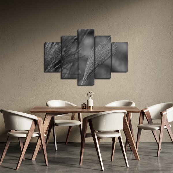 Kép - Szárított pampafű (150x105 cm)