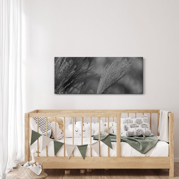 Kép - Szárított pampafű (120x50 cm)