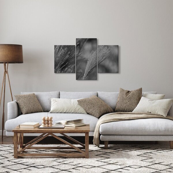 Kép - Szárított pampafű (90x60 cm)