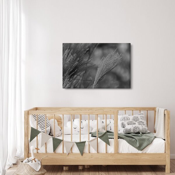 Kép - Szárított pampafű (90x60 cm)