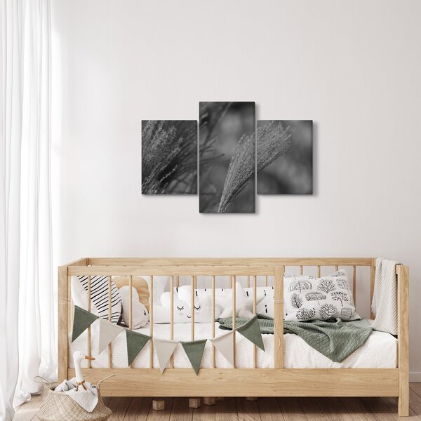 Kép - Szárított pampafű (90x60 cm)