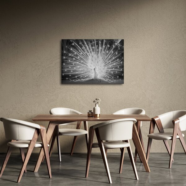 Kép - Fehér páva (70x50 cm)