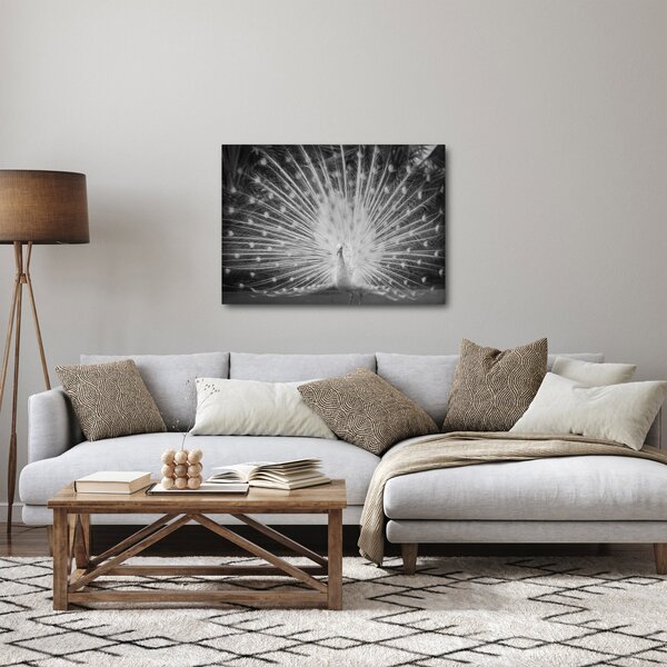 Kép - Fehér páva (70x50 cm)