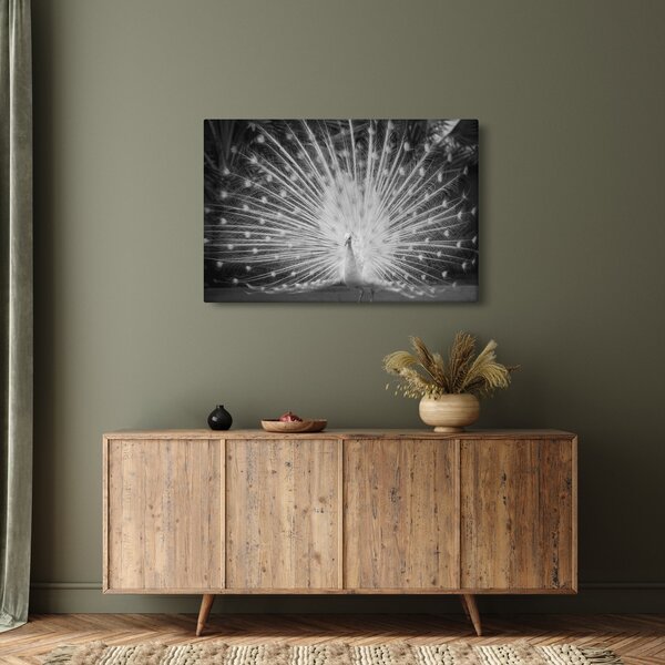 Kép - Fehér páva (90x60 cm)
