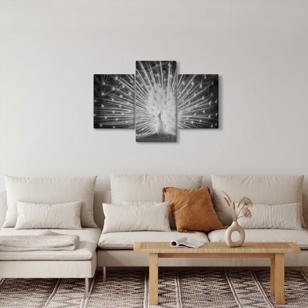 Kép - Fehér páva (90x60 cm)