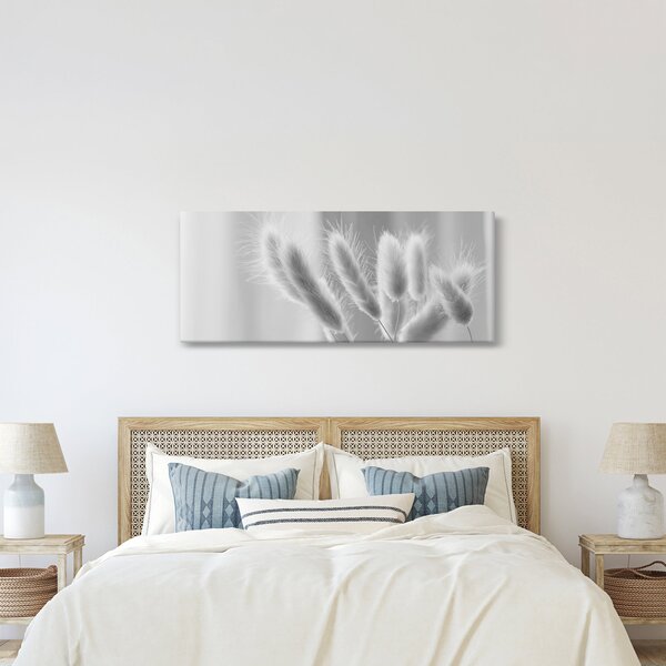Kép - Nyuszi farok fű (120x50 cm)