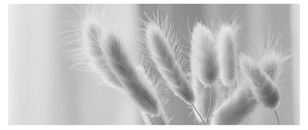 Kép - Nyuszi farok fű (120x50 cm)